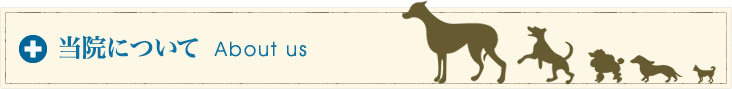 当院について