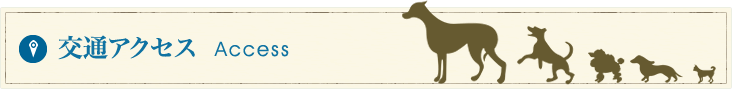 交通アクセス