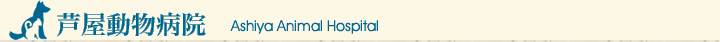 芦屋動物病院