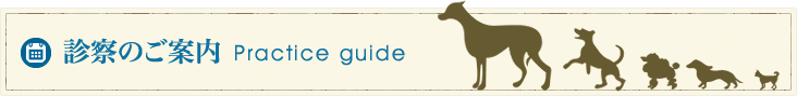 診察のご案内