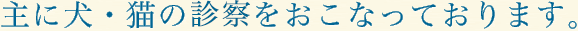 主に犬・猫の診療をおこなっております。