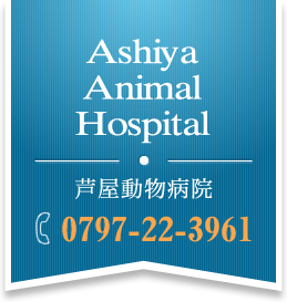 芦屋動物病院0797-22-3961