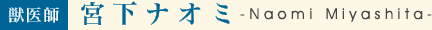 獣医師宮下ナオミ